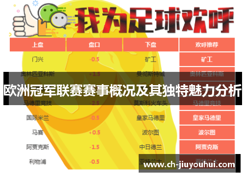 欧洲冠军联赛赛事概况及其独特魅力分析