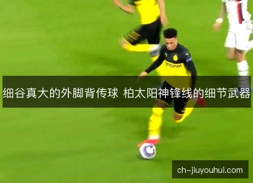细谷真大的外脚背传球 柏太阳神锋线的细节武器